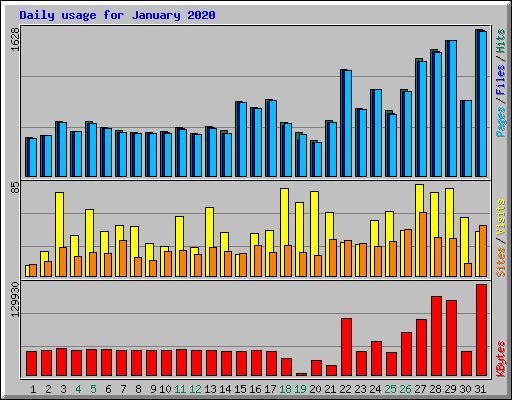 Daily usage for January 2020