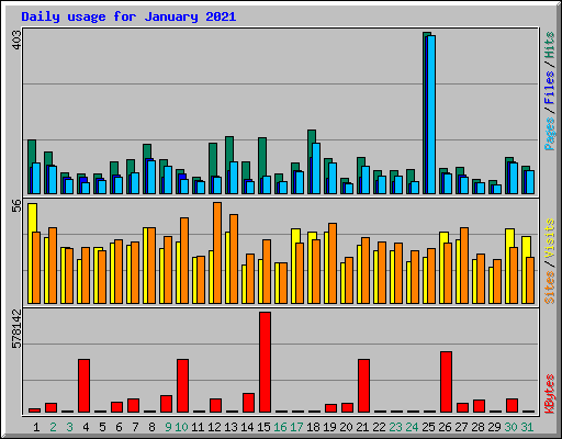 Daily usage for January 2021