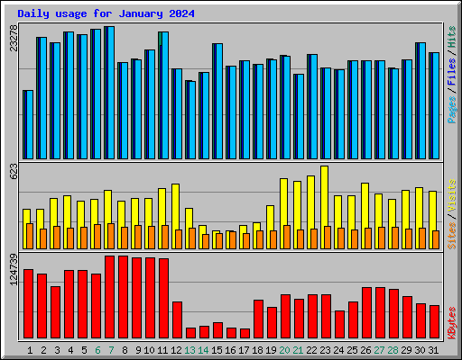 Daily usage for January 2024