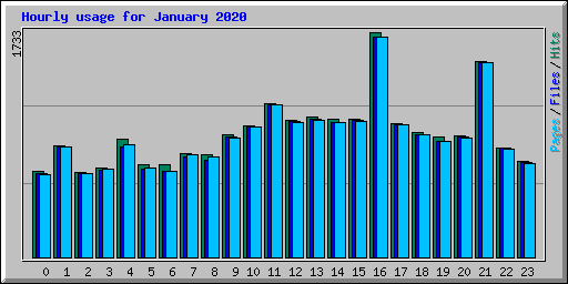 Hourly usage for January 2020