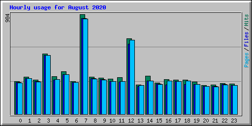 Hourly usage for August 2020