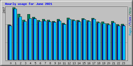 Hourly usage for June 2021