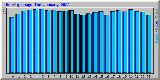 Hourly usage for January 2022