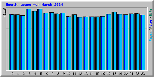 Hourly usage for March 2024