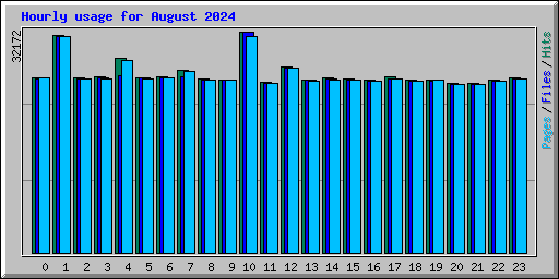 Hourly usage for August 2024