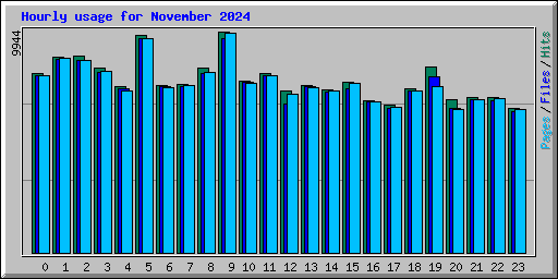 Hourly usage for November 2024