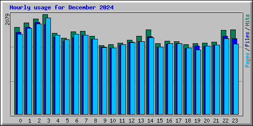 Hourly usage for December 2024