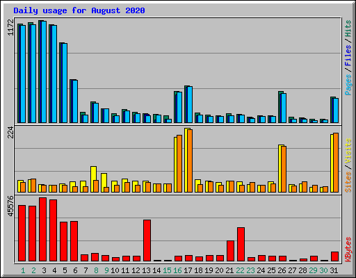 Daily usage for August 2020