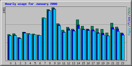 Hourly usage for January 2006