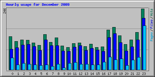 Hourly usage for December 2009