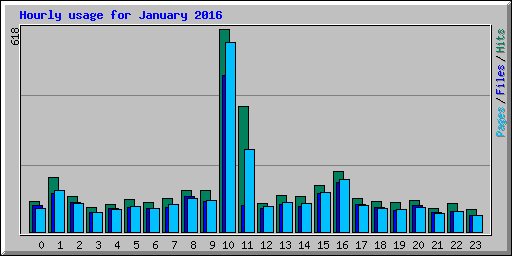 Hourly usage for January 2016