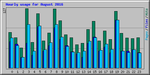 Hourly usage for August 2016