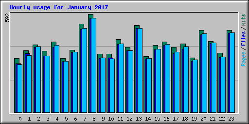 Hourly usage for January 2017