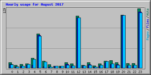 Hourly usage for August 2017