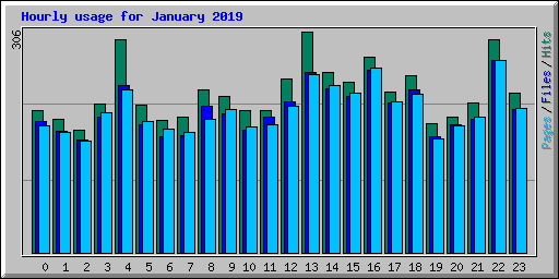 Hourly usage for January 2019