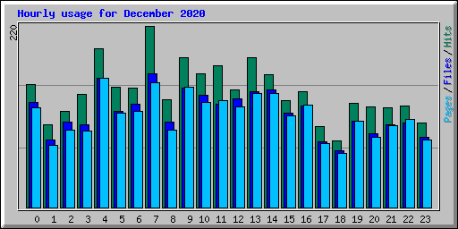 Hourly usage for December 2020