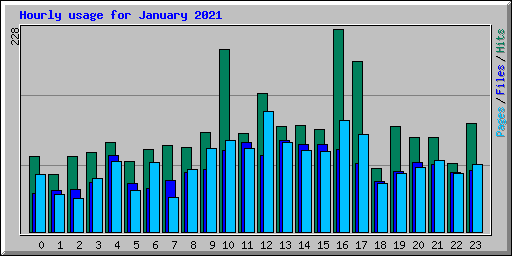 Hourly usage for January 2021