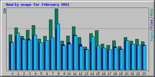 Hourly usage for February 2021