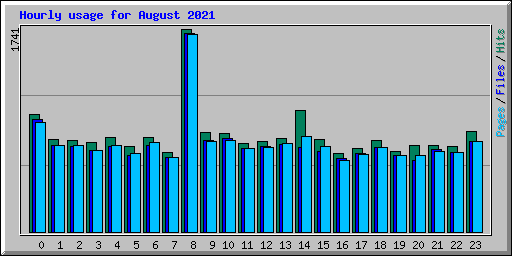 Hourly usage for August 2021