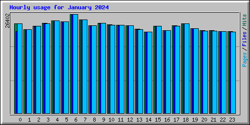 Hourly usage for January 2024