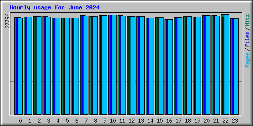 Hourly usage for June 2024